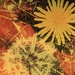 No Mow May in Abstract (9) by rensala