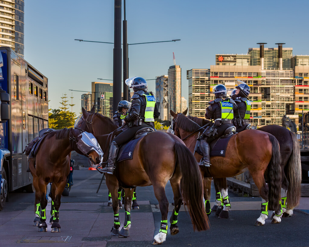 Mounted Police by briaan