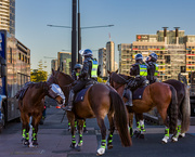 9th May 2025 - Mounted Police