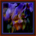 8 - Colour Burst
