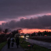 Into the sunset