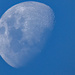 half a moon