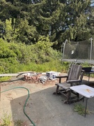 9th May 2025 - Back patio