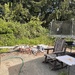 Back patio
