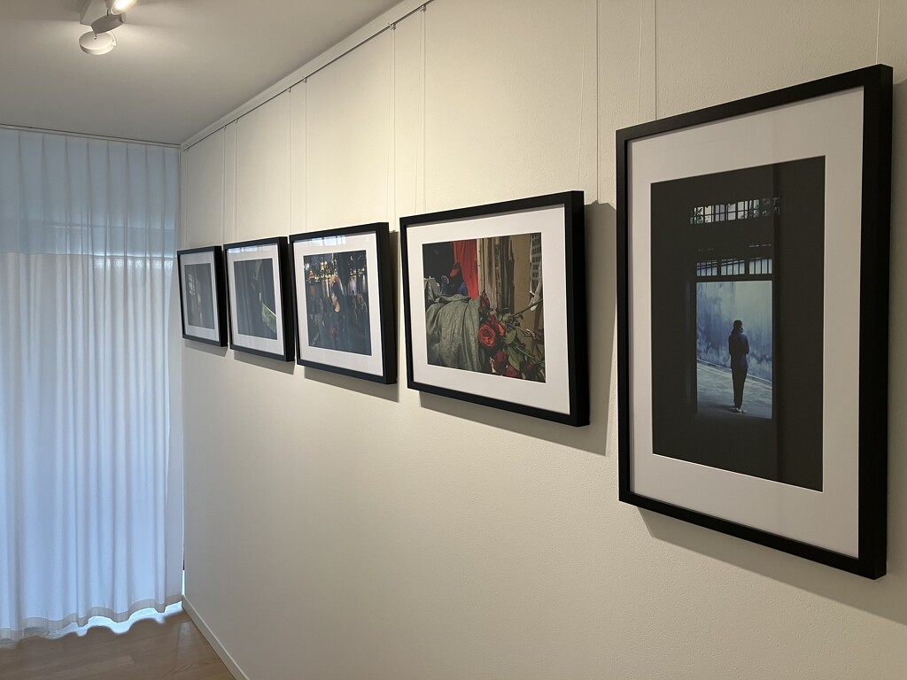 Exhibition can start by vincent24