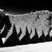 Topiary