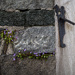 Door, wall and a couple of flowers