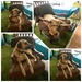 This is Rufus
