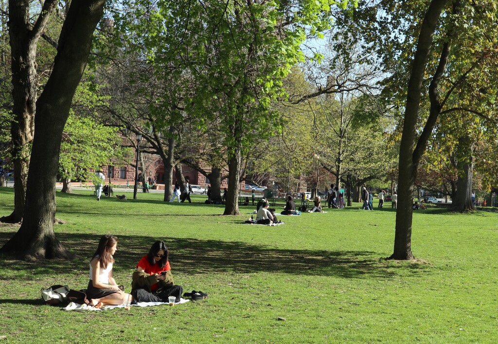 A Spring Day in the Park by 365projectorgheatherb