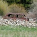 Out to Pasture