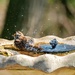 Enjoying the jacuzzi tub by ljmanning