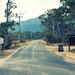 Blackheath 13 - Megalong Valley