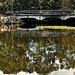 Bridge Over The Lake & Reflections!