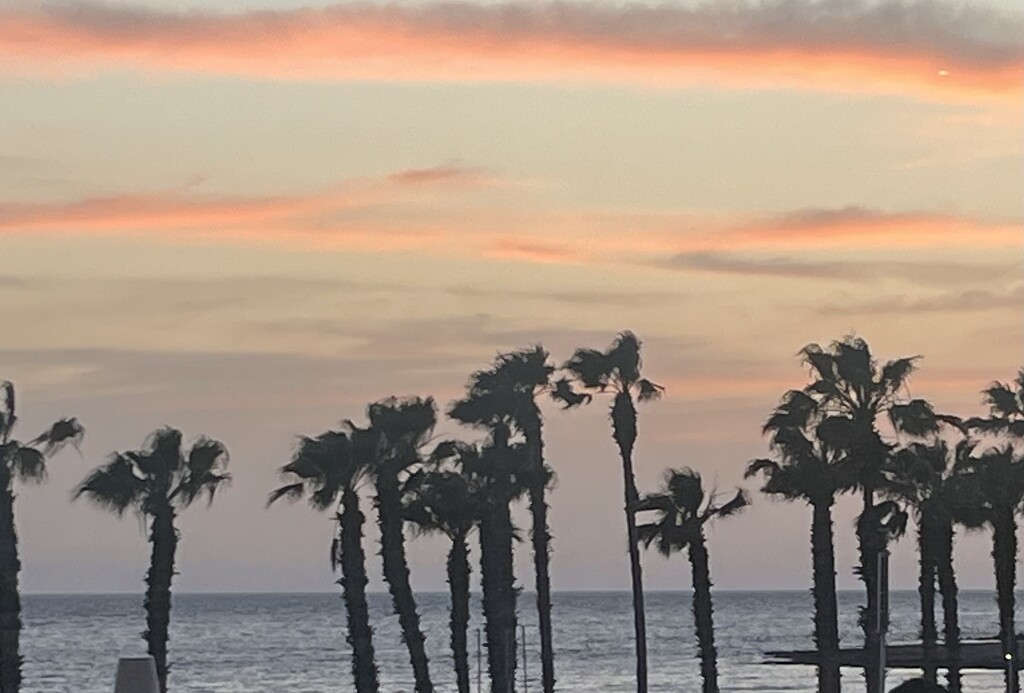 What a View from Dinner by elainepenney