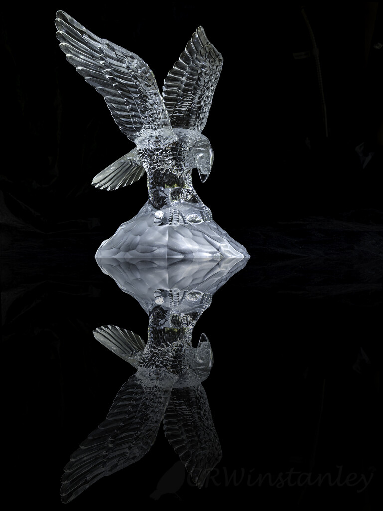 Glass Eagle Reflection by kipper1951
