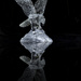 Glass Eagle Reflection