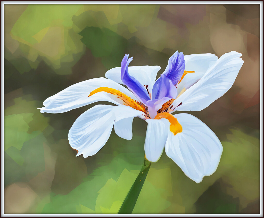 A little pop of colour by ludwigsdiana