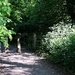 morning stroll