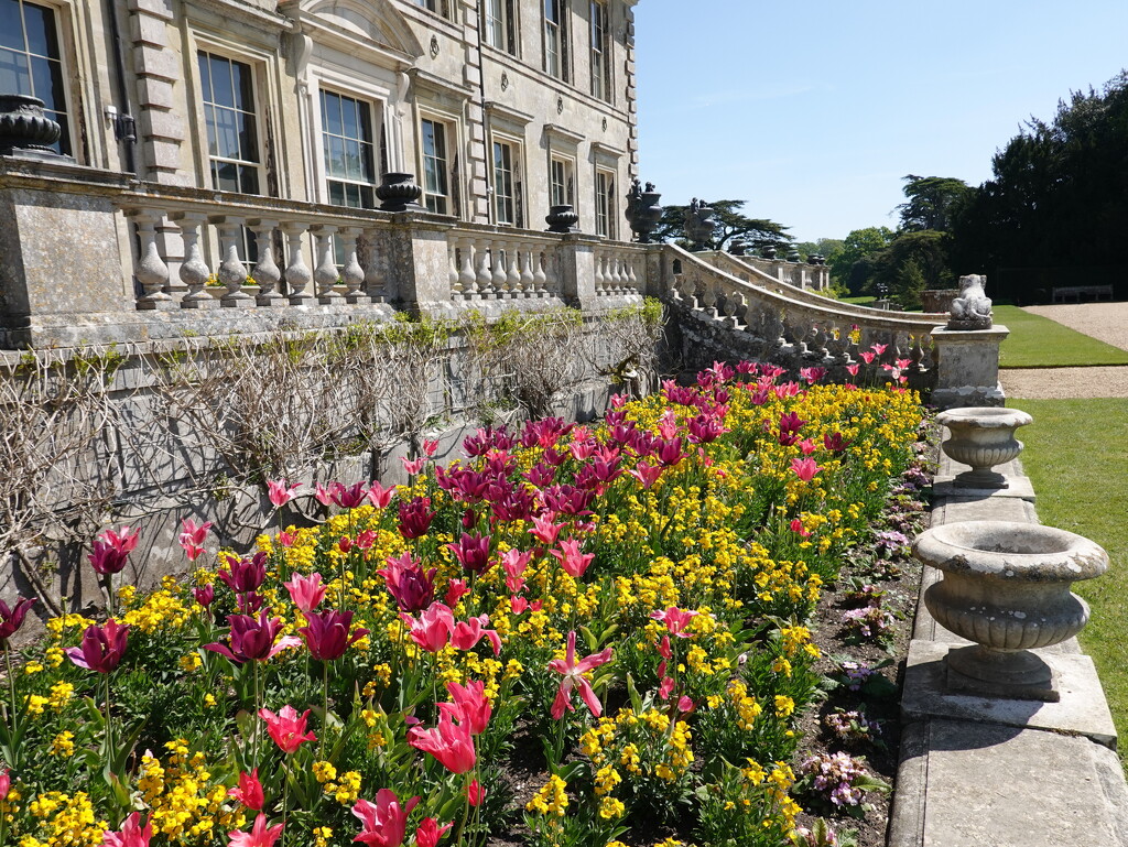 the front garden at Kingston Lacy by quietpurplehaze21