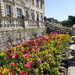 the front garden at Kingston Lacy