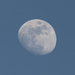 Daytime Moon