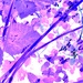 No Mow May in Abstract (10) 