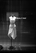 8th May 2025 - Simple elegance