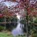 Autumn, McLaren Falls Park