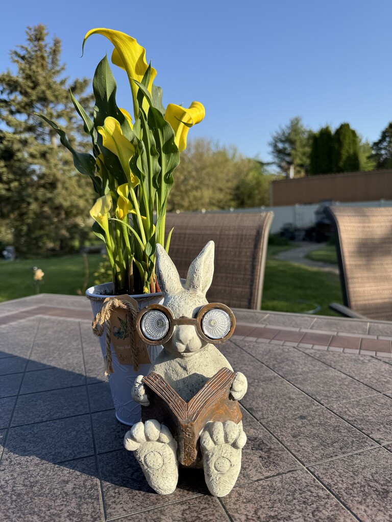 Book Bunny by lisab514