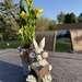 Book Bunny