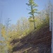  Top of the Hill
