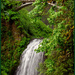 Benson Bridge at Multnomah Falls 