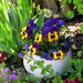 Spring Garden