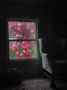 10th May 2025 - Half light