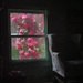 Half light