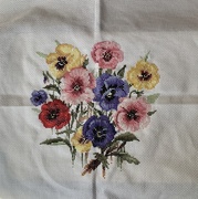 10th May 2025 - Pansies