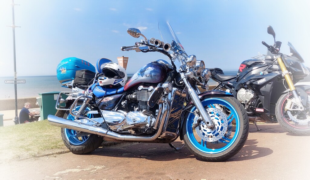 Triumph Thunderbird. by bricam
