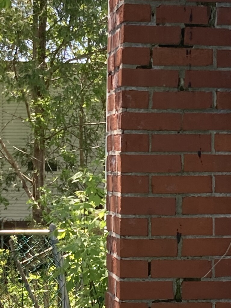 Half Greenery, Half Old Chimney by spanishliz