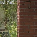 Half Greenery, Half Old Chimney
