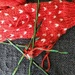 The last stitch