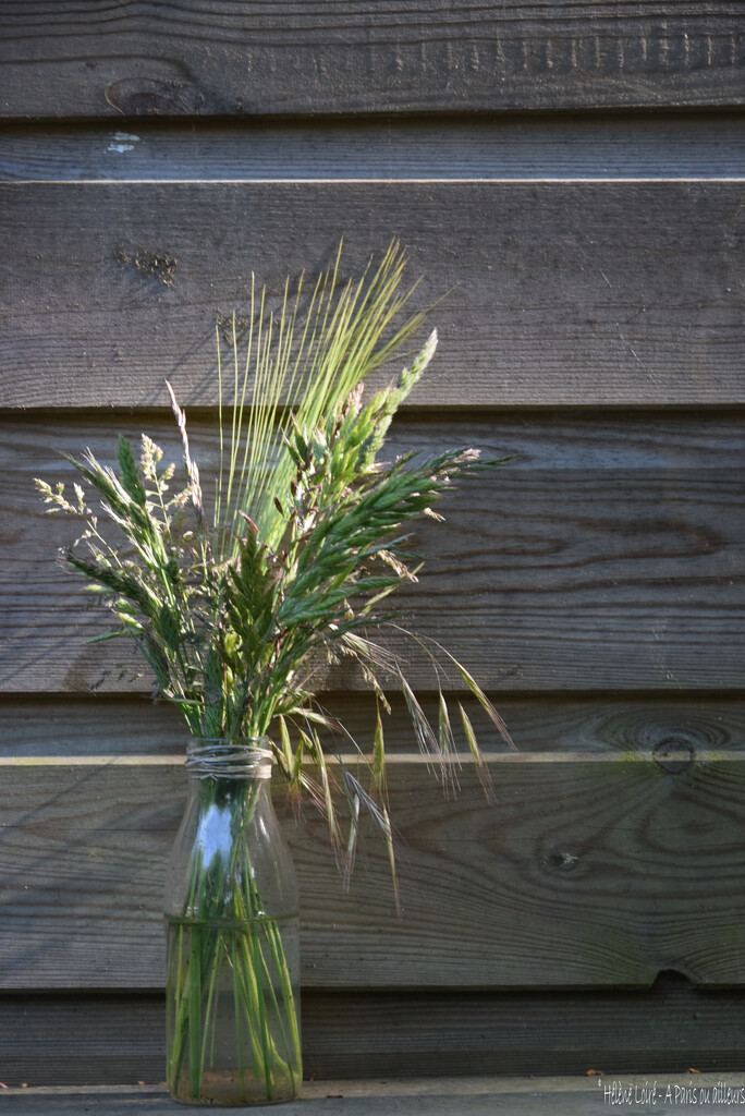 Weeds in a bottle by parisouailleurs