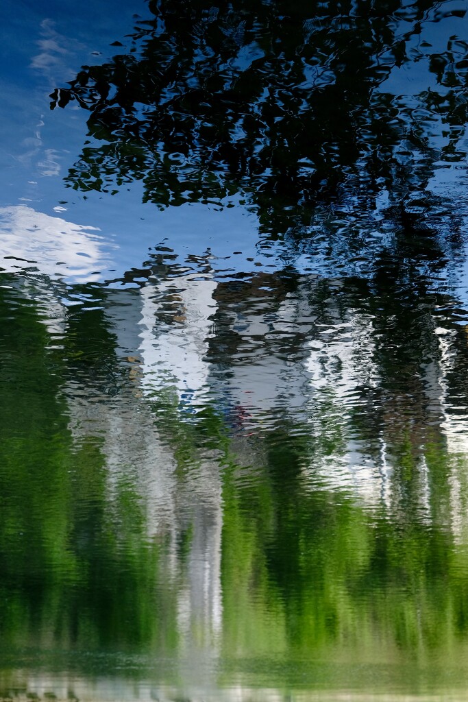 Reflection  by vincent24
