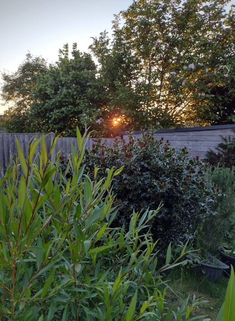The sun is going down 10may2025 by aimeebarr