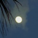 Nearly Full Moon
