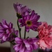 5 5 Cut flowers