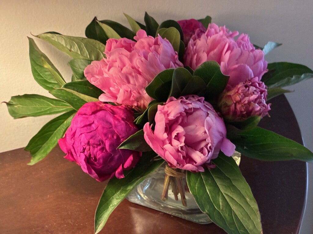 Sharing Mother’s Day Wishes by allie912