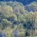 Wet Land by corinnec