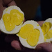 Double Yoke