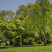 Spring at Topiary Park #2