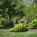 Morning at Topiary Park #1